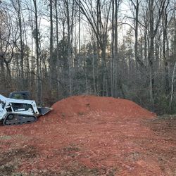 Skidsteer And Mini X 