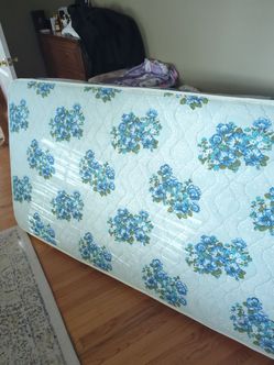 Free twin mattress