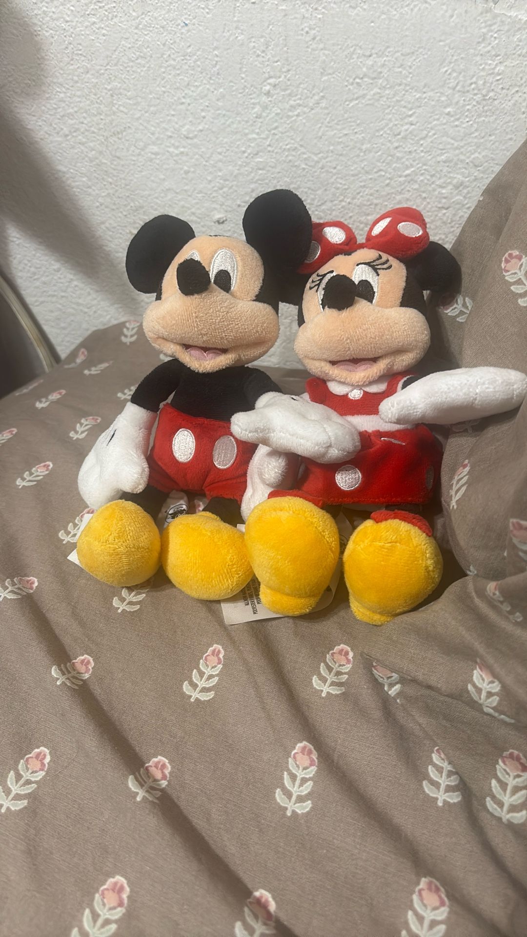 Mikey And Minnie