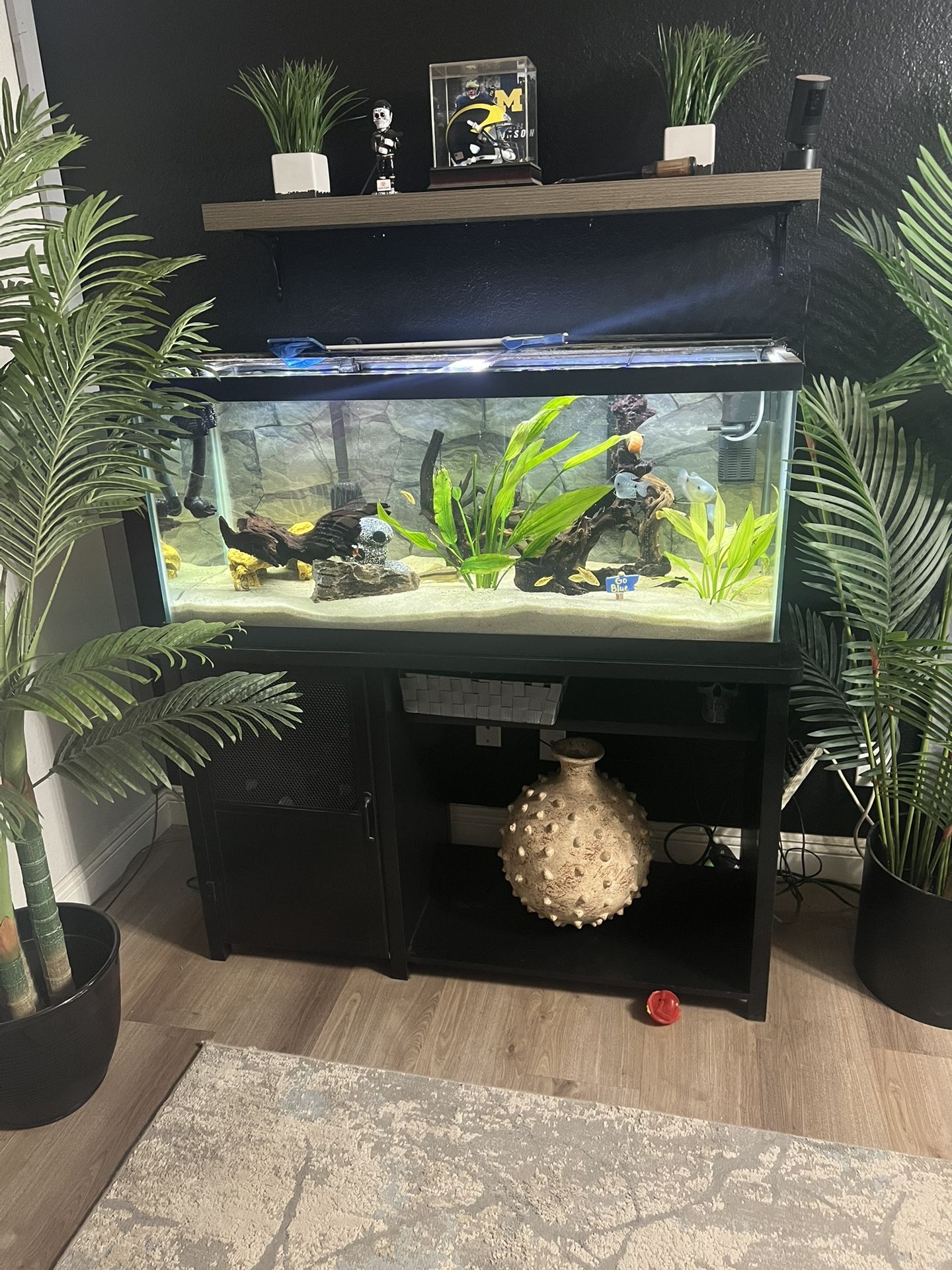 75 Gallon Fish Tank MUST SELL