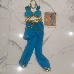 Princess Jasmine Costume 