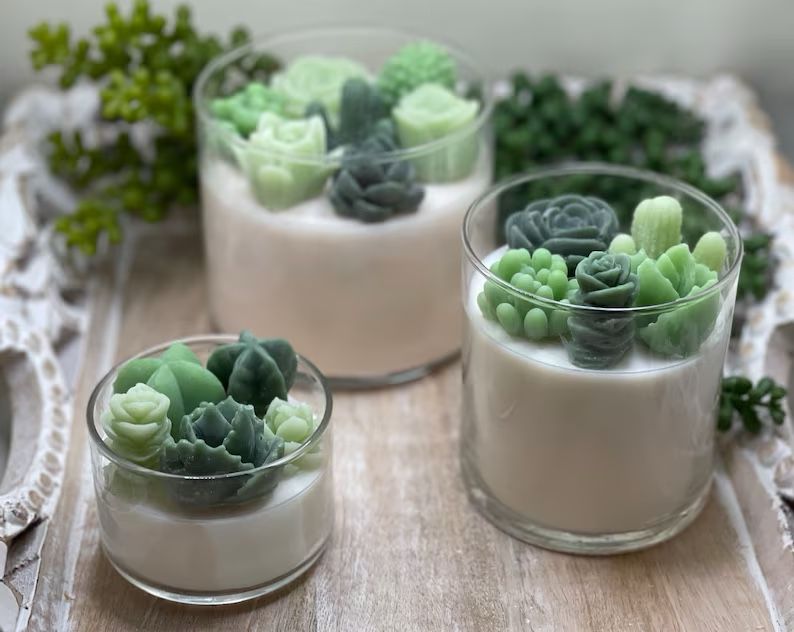 Green Variety Succulent Candle | Glass Tumbler Collection