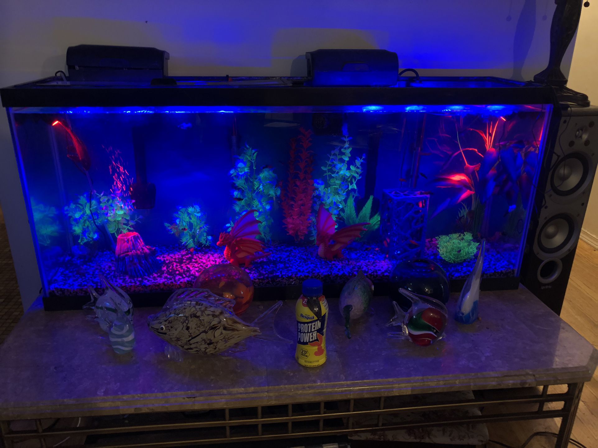 55 Gallon Fish Tank for Sale in Tigard, OR - OfferUp