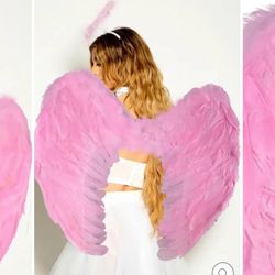 Pink Wings Feather