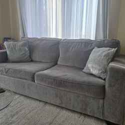 Couch And Sleeper In Perfect Condition 