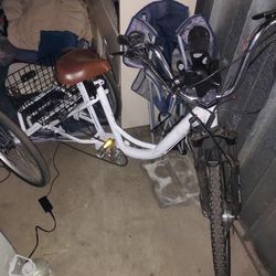 Tricycle Electric Bike 