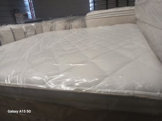 Free Delivery 