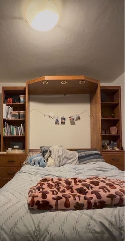 Solid Oak Murphy Bed | Built-In Storage | Lights | Full Size | Originally $4,000