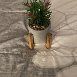 Fake Plant With Rocks