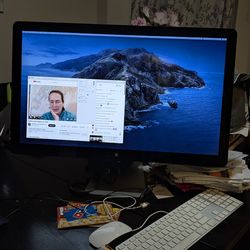 27' Apple Thunderbolt Display Monitor