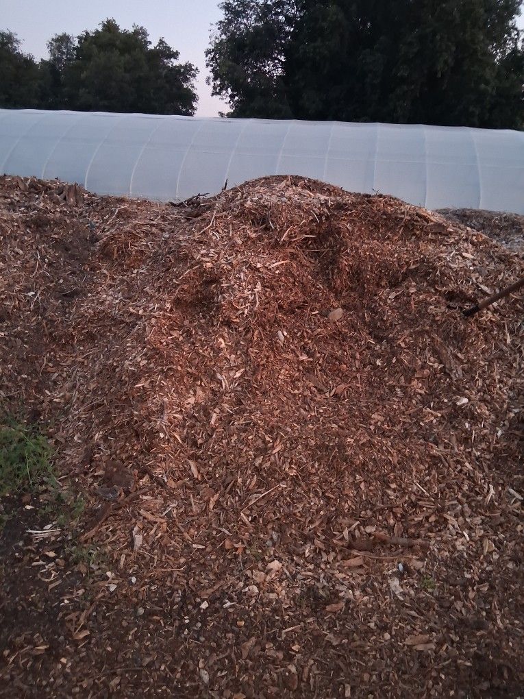 Wood Chips