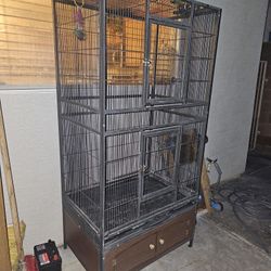 Big Bird Cage