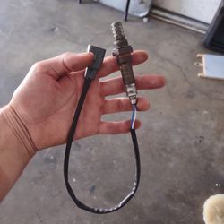 O2 Sensor