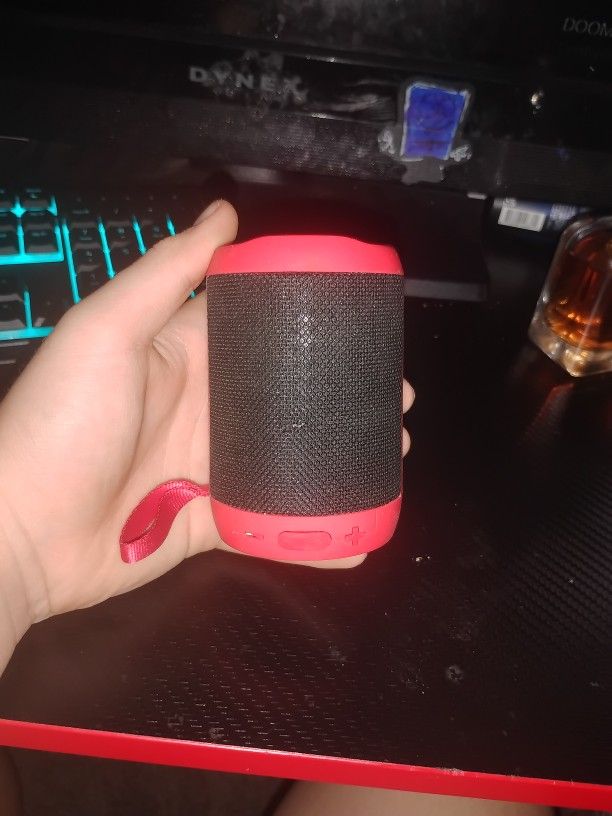 Speaker