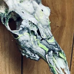 Custom Dipped Deer Mount