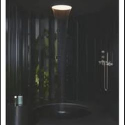 Dornbracht Rainmoon  shower panel