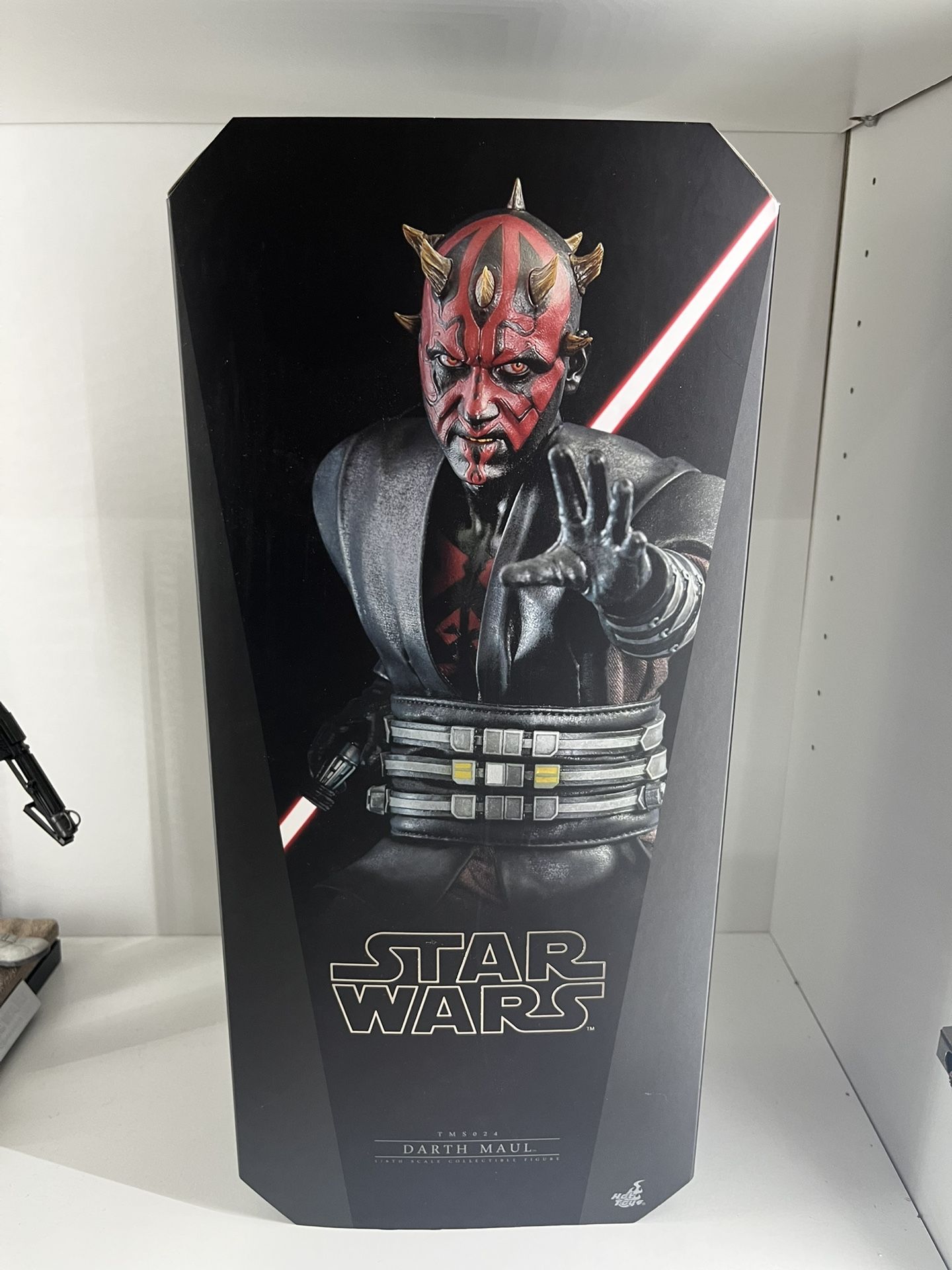 Hot Toys 1/6 Scale Darth Maul