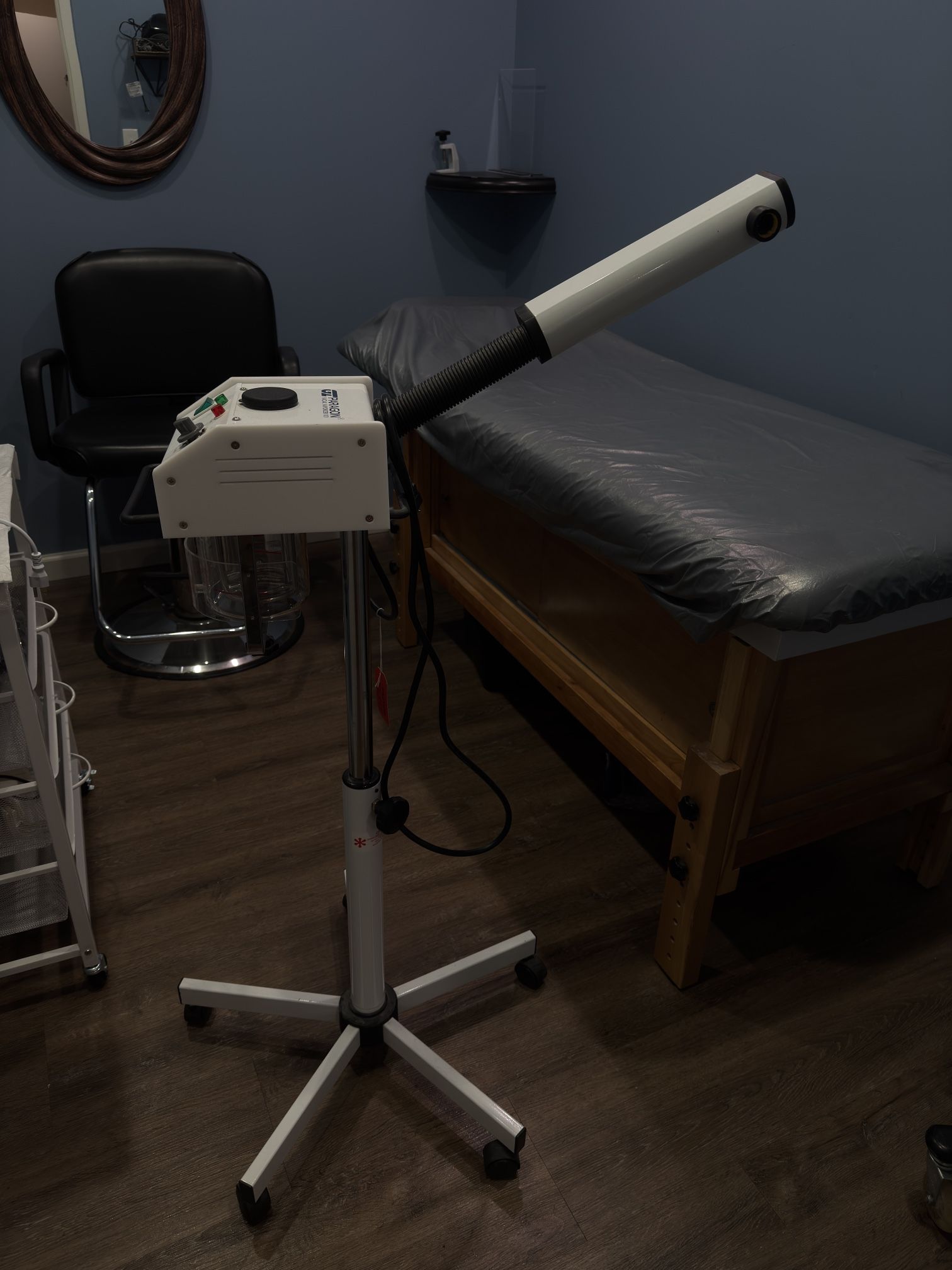 Paragon Facial Steamer