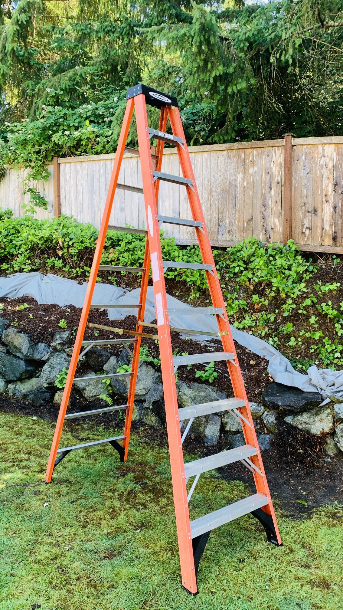 Werner 10 Ft Step Ladder