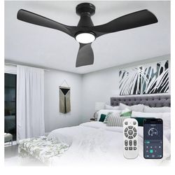 Ceiling Fan