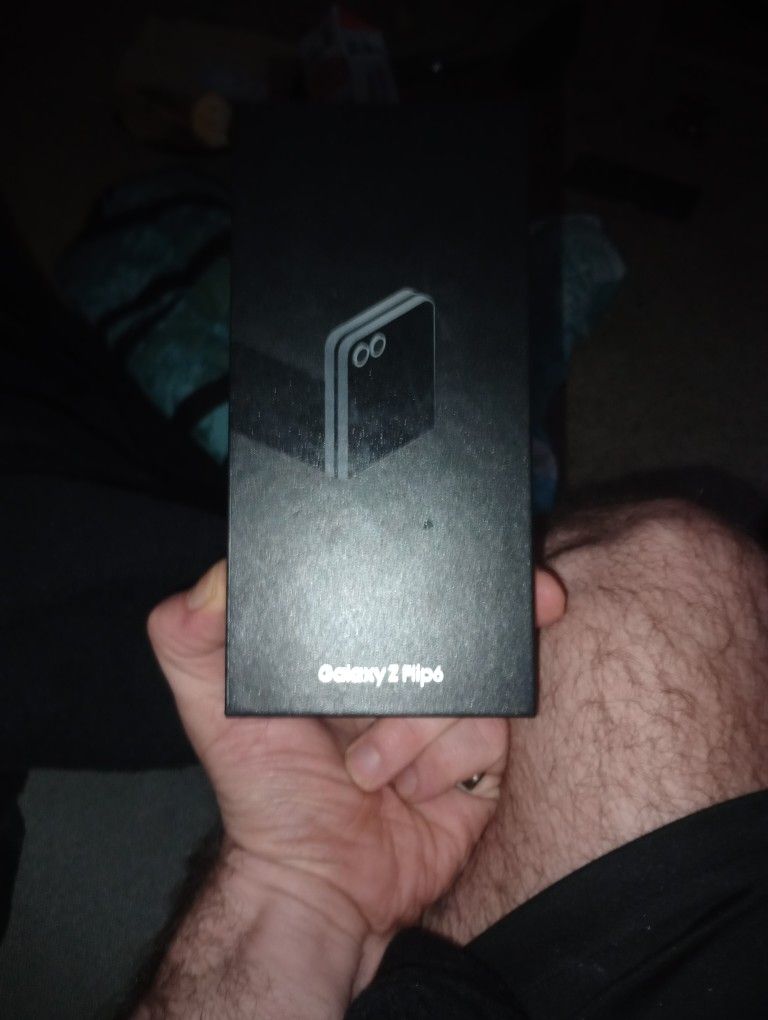 Samsung Flip6