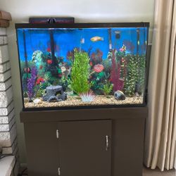 Home Aquarium 