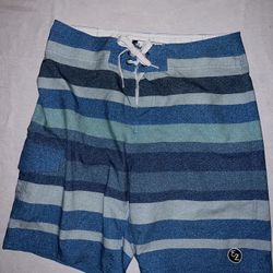 Men’s multi-color blue striped swim trunks/shorts in size 32 — in great condition