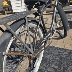 Schwinn Cruiser