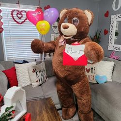 Valentines Teddygram Delivery Service 