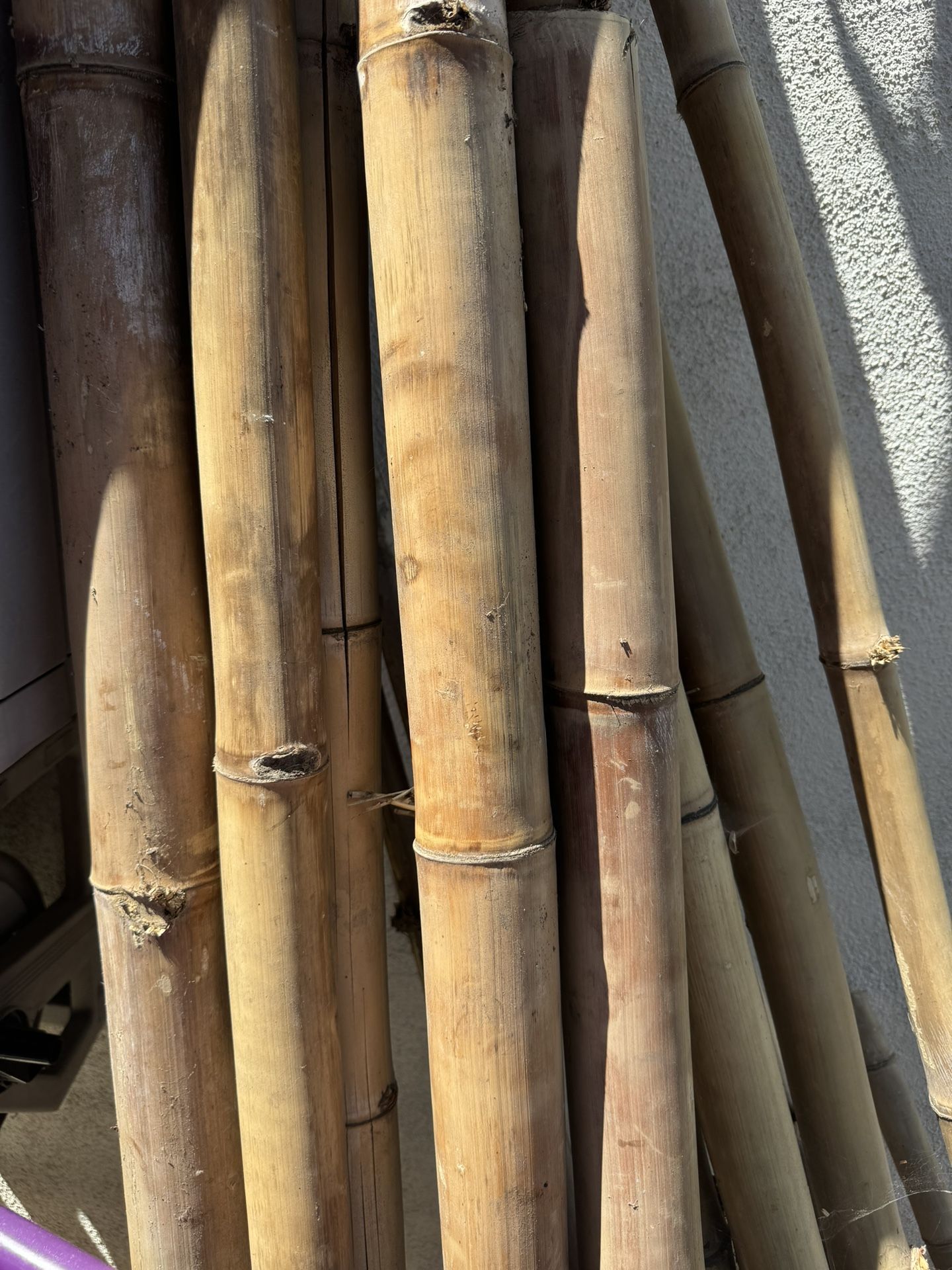bamboo sticks poles