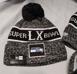 Seattle Seahawks SB champs knit cap