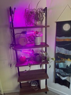Nathan James Ladder Bookshelf