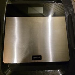 Taylor Digital Scale 