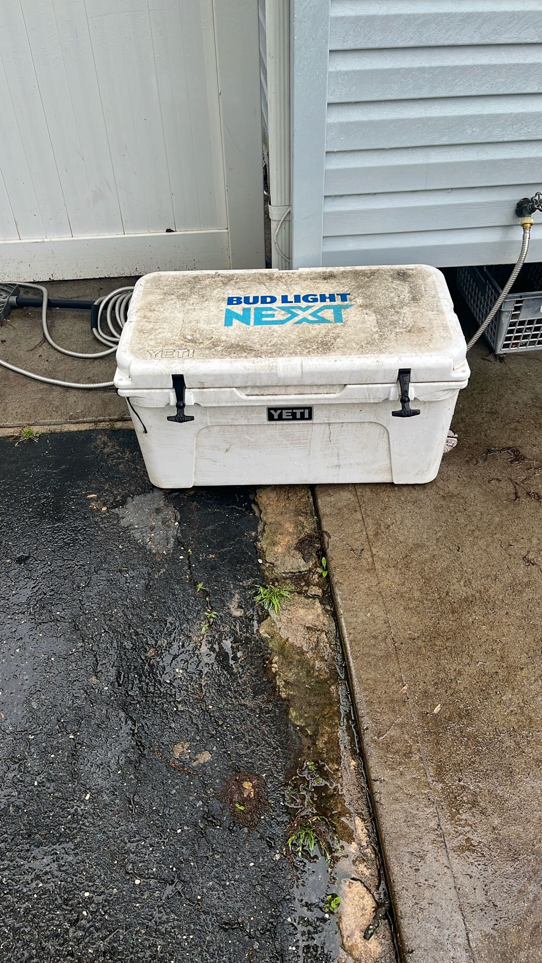 Yeti Cooler
