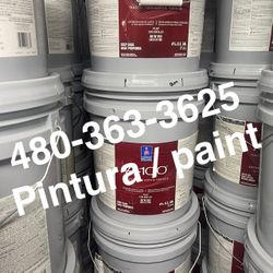 Pintura En Venta Paint & Supplies 