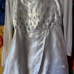 Frozen 2 Elsa Costume 