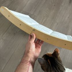 Wall mounted Cat bed Free