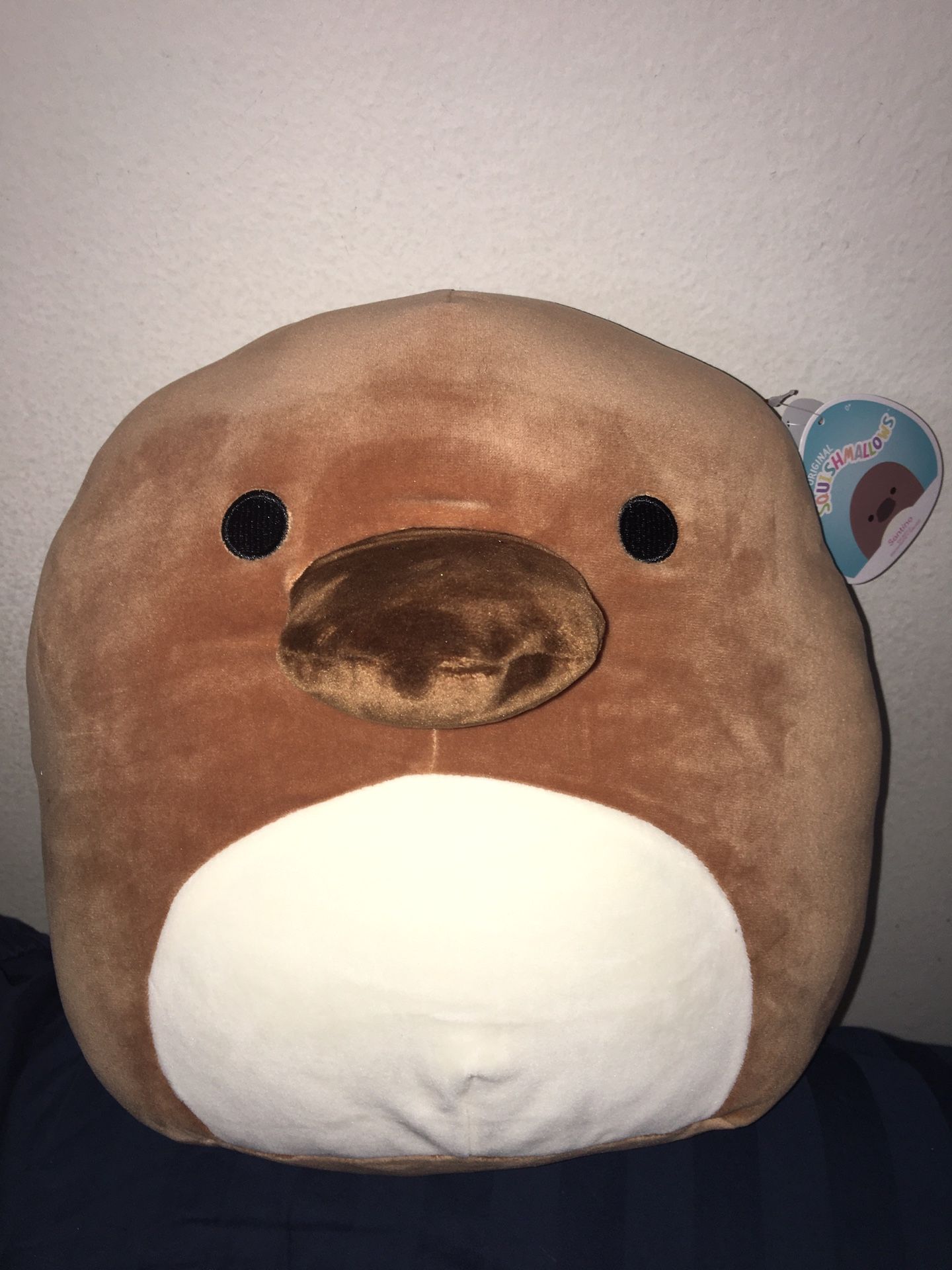Squishmallow Santino 12” Platypus