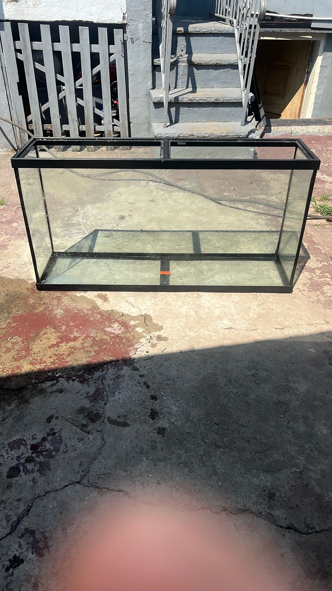 Large Fish Tank