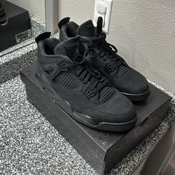 Jordan 11: black cats