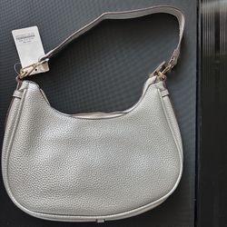 Silver Purse 