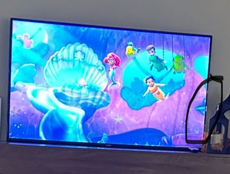 Vizio 55 inch tv