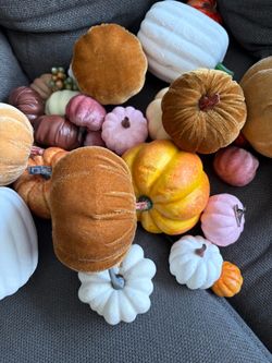 Pumpkins
