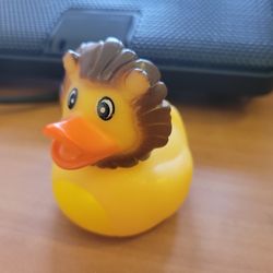 Rubber Duck With Maine 
