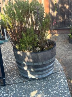 Half Wine Barrel Planter