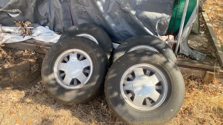 Obs rims