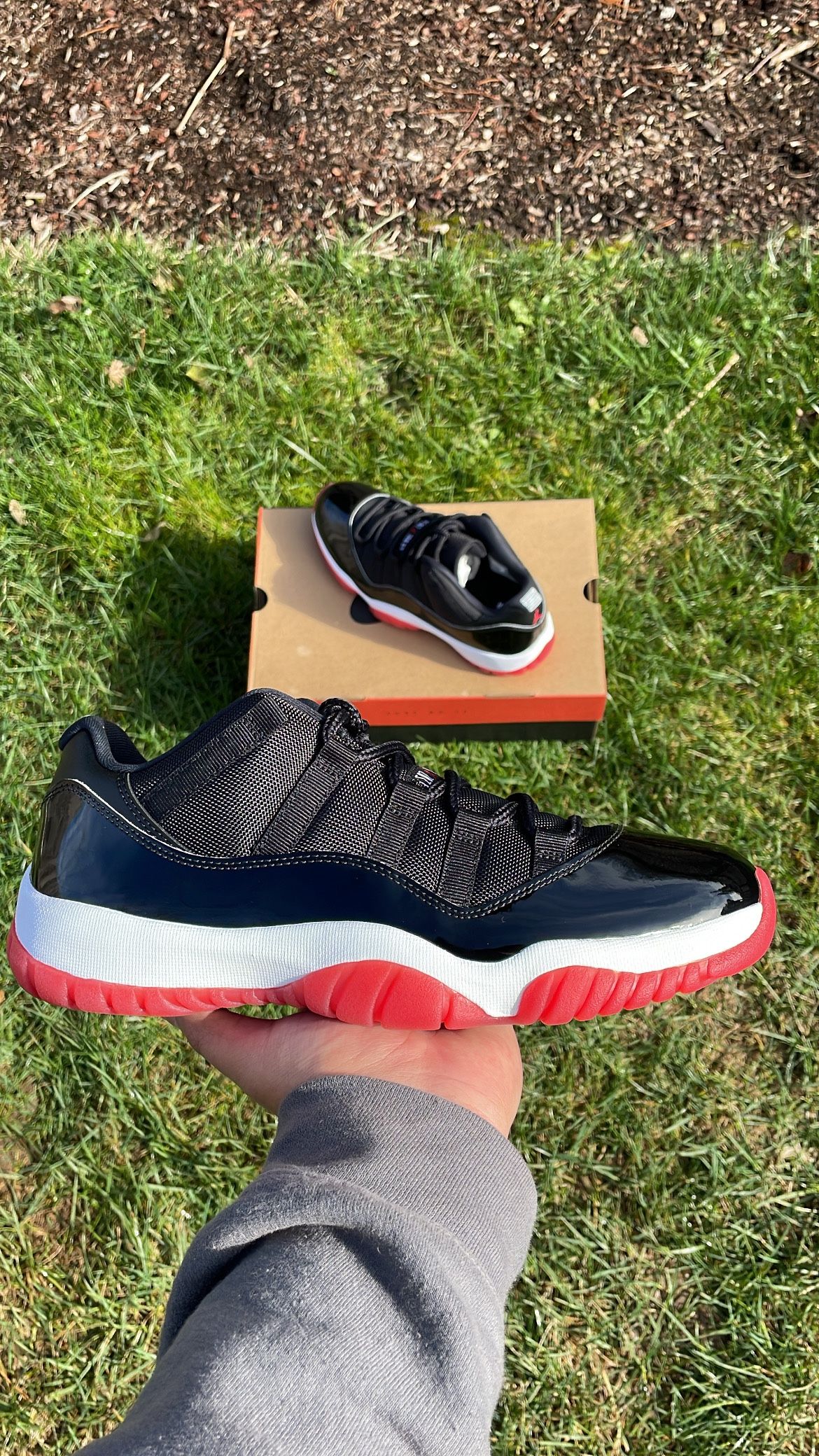Air Jordan 11 Bred Low
