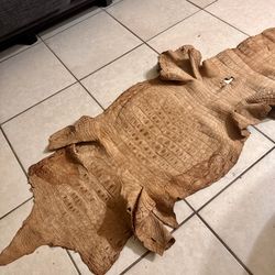 Genuine Alligator Skin