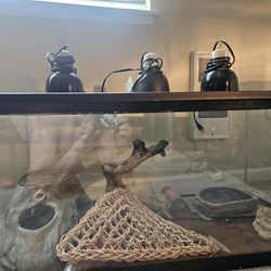 40 Gallon Reptile Cage With 3 Lights