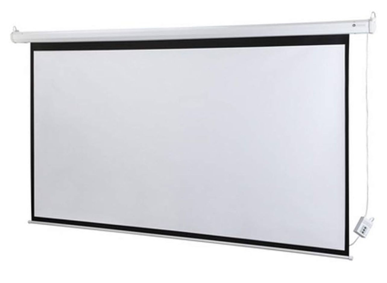 Homegear 110” Projector-$100